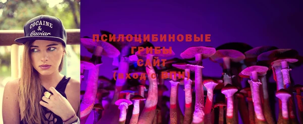 дживик Алексин