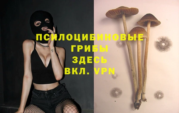 дживик Алексин